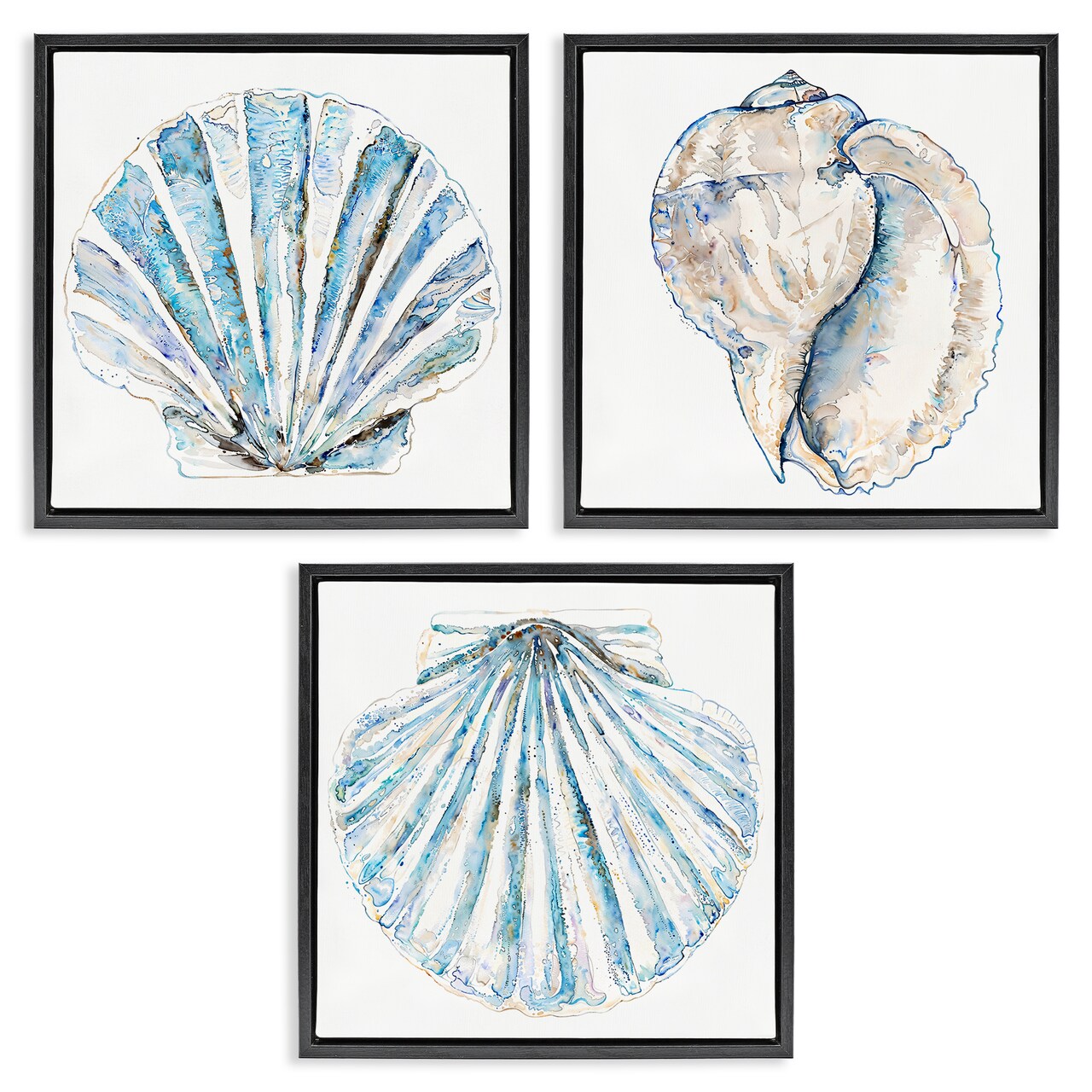 Stupell Industries Clam & Conch Watercolors 3 pc Framed Floater Canvas Wall Art Set Design by Christine Zalewski